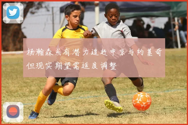 杨瀚森或有潜力追赶申京与约基奇但现实期望需适度调整