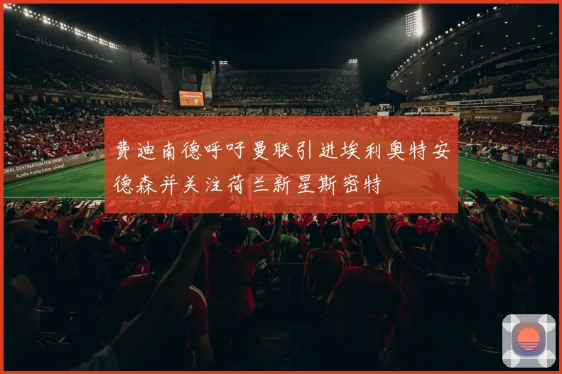 费迪南德呼吁曼联引进埃利奥特安德森并关注荷兰新星斯密特