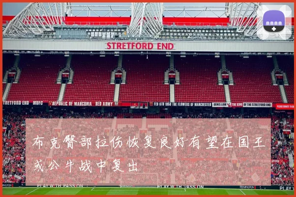 布克臀部拉伤恢复良好有望在国王或公牛战中复出