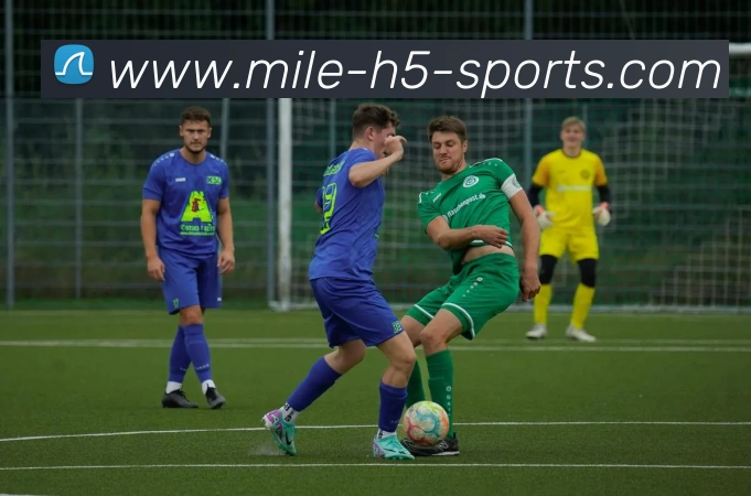 米乐体育全站App